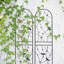 2 Pack Metal Garden Trellis 86.7" X 19.7" Rustproof Trellis For Climbing Plants Outdoor Flower Support Dragonfly Deco Black