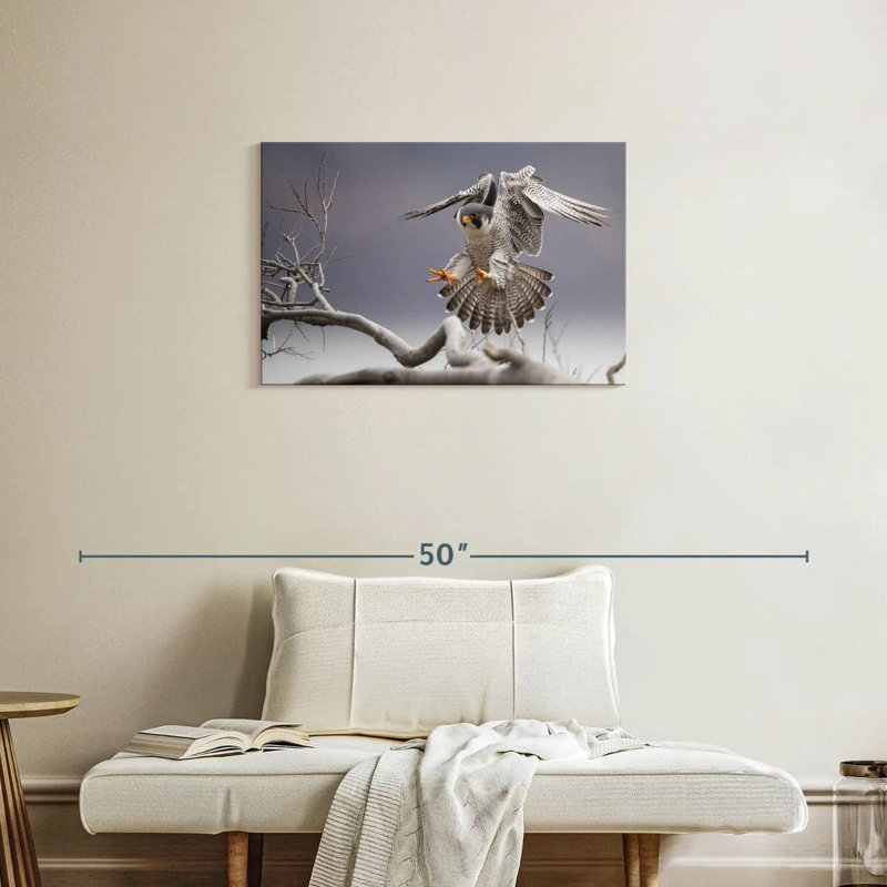 Peregrine Falcon, 20" H x 30" W