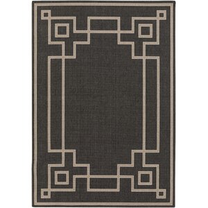 Sol 72 Outdoor™ Amherst Black Indoor/Outdoor Rug & Reviews | Wayfair