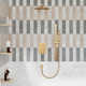 SlideLux Complete Rainfall Shower System with Rough in-Valve and Slide Bar
