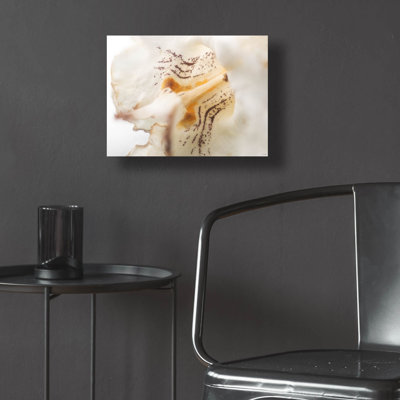 "Textures 22" par Gordon Semmens