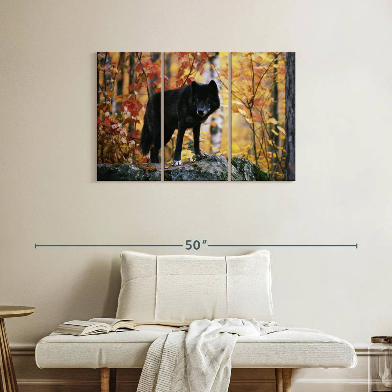 Autumn Black Wolf, 24" H x 38" W