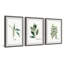 " Herb Trio Triptych " by Rachel Byler 3 - Pieces-1645064445