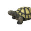 Grande statue de tortue d'extérieur pour le jardin - Sculpture d'animal réaliste en résine et décoration artistique de jardin pour patio, pelouse et parterre de fleurs