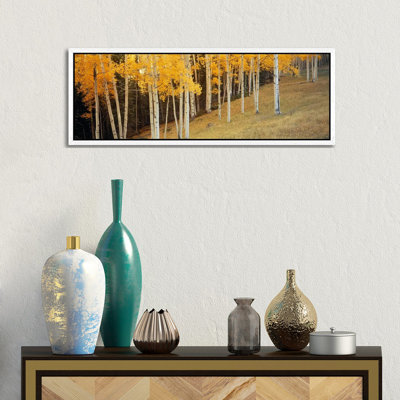 Aspen Trees In A Field, Ouray County, Colorado, USA by Panoramic Images - Floater Frame Panoramic Gallery-Wrapped Canvas Giclée on Canvas