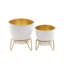 Ensemble de 2 pots à fleurs en fer Cole and Grey-1683738344