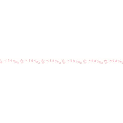 It's It's Girl Curling Ribbon