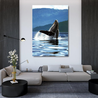Baleine à bosse