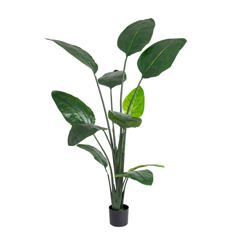 Mangue artificielle en pot, H 70,86 po x l 30 po x P 30 po