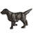 Retriever, Cast Iron