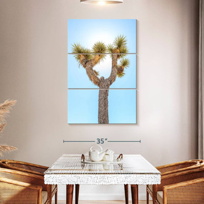 Sunlit Joshua Tree