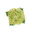 35" Light Green Artificial Hydrangea Stems-1063156109