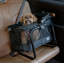 Pet Carrier with 1 Door