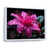 White Floater Framed