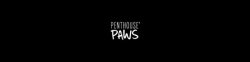 Penthouse Paws Logo