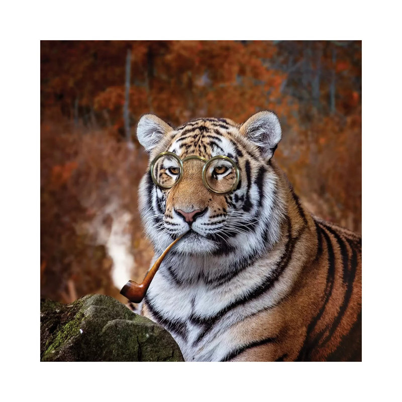 Gentleman Tiger by Karen Burke - Wrapped Canvas Print, 30.48 cm H x 30.48 cm W