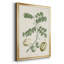 Buchoz Tropicals II-88436408-88436409