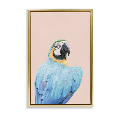 Toile flottante encadrée "Ara bleue" par Sissi et Seb