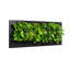Rectangle Planter-1545934807