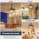 Lieuwe 20" Outdoor Waterproof Ceiling Fan with Dimmable LED Light and Remote Control