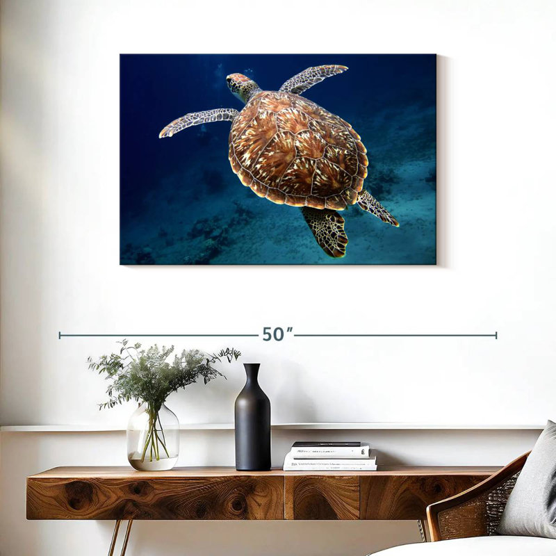 Brampt Swimming Turtle, 24" H x 36" W