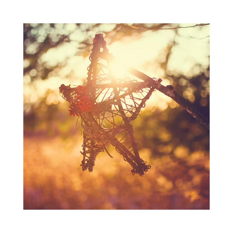 Morning Star by Kelly Poynter - Wrapped Canvas Gallery-Wrapped Canvas Giclée, 45.72 cm H x 45.72 cm W x 1.91 cm D