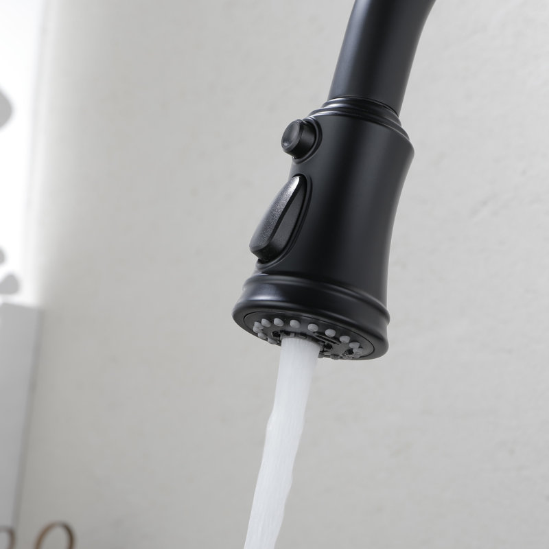 Kitchen Faucet With Pull Out Spraye, Matte Black