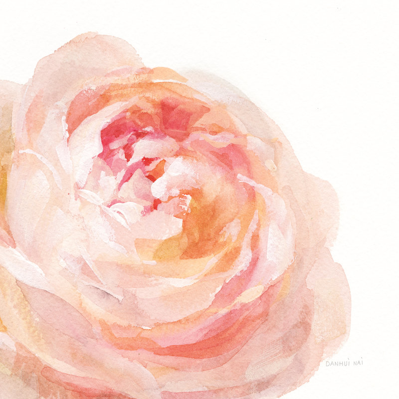 " Garden Rose On White Crop " by Danhui Nai Painting Print, 12" H x 12" W x 1.25" D
