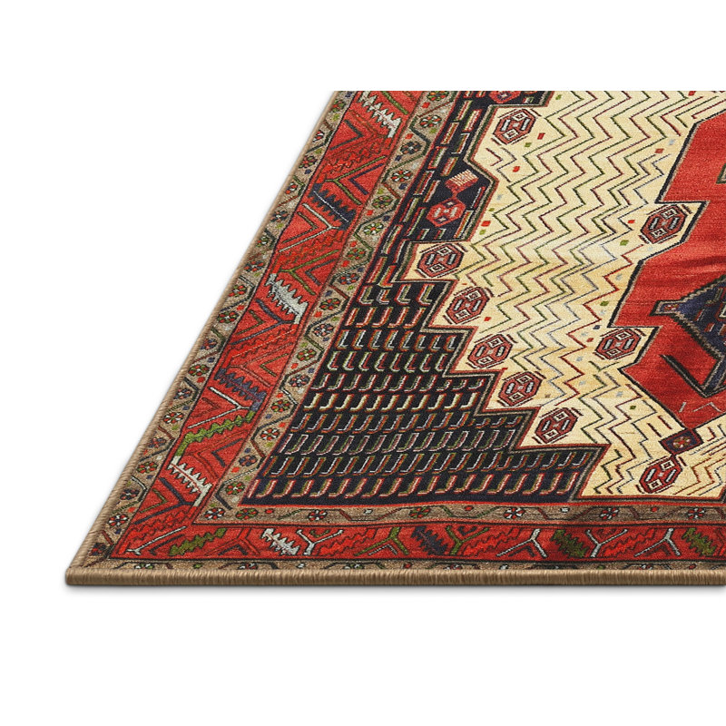 Shashkov Oriental Indoor Rug, Rectangle 5' x 7'
