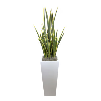 Faux Snake Plant in Pot
