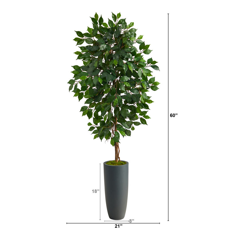 60'' Faux Ficus Tree in Clay Planter