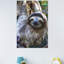 Impression sur papier sourire sloth Esposito