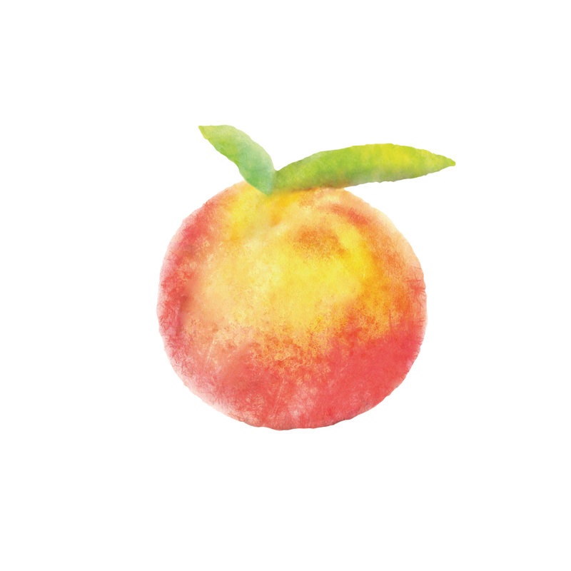 Just Peachy - Wrapped Canvas Painting, 30cm H x 30cm W x 3.8cm D