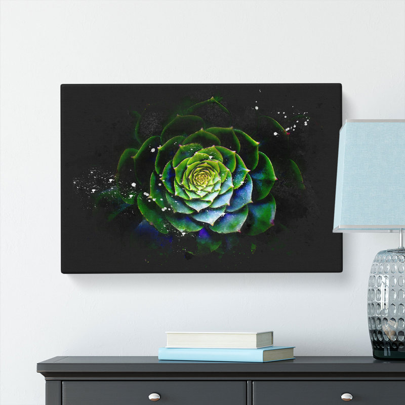 Dark Green Succulent Plant - Wrapped Canvas, 60cm H x 91cm W x 3cm D