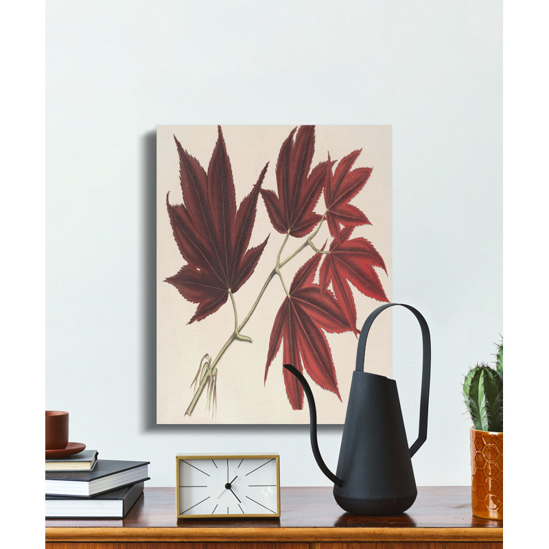 Herzig Wrapped Canvas Print Set, 20x24