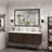 Molly Tempered Glass Metal Beveled Framed Wall Mounted Vanity Rectangular Mirror-108625544-108625533