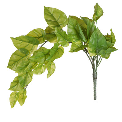 Pothos Arrangement
