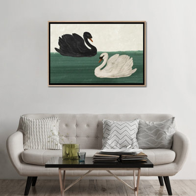 Black Swan White Swan