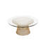Lydie Glass Coffee Table-562009041