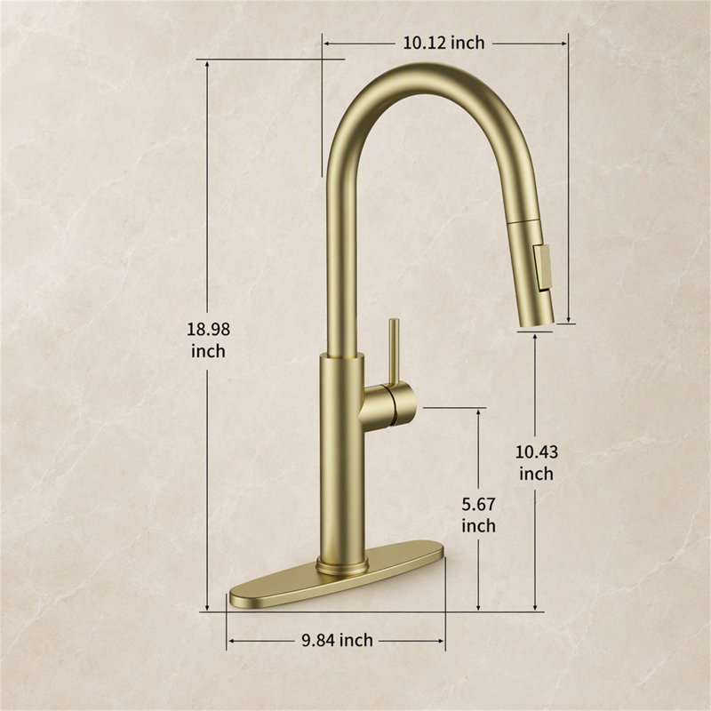 ROBOHIGH Kitchen Faucet Side Spray