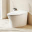 12" Rough-In Smart Bidet Toilet with Auto Flush on Exit, Heated Seat, Manual Flush for Power Outage, Multi-Functional