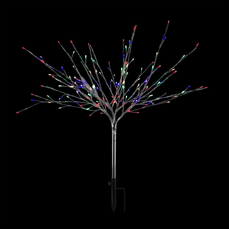Arbres et branches alpins éclairés, Multicolore