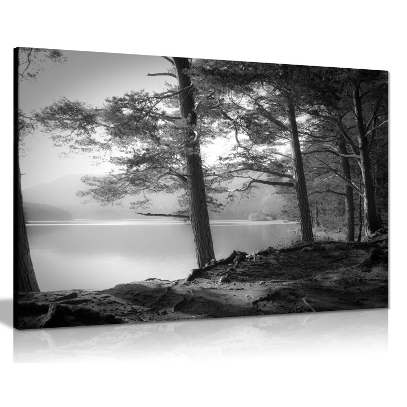 Lake Pine Trees - Wrapped Canvas Art Prints, 41cm H x 61cm W