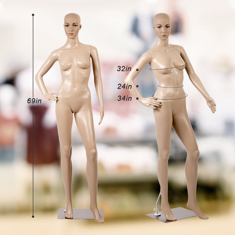 FDW Dress Form