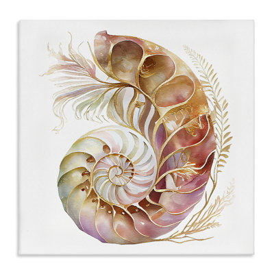 «Curled Nautilus» par Birch & Ink