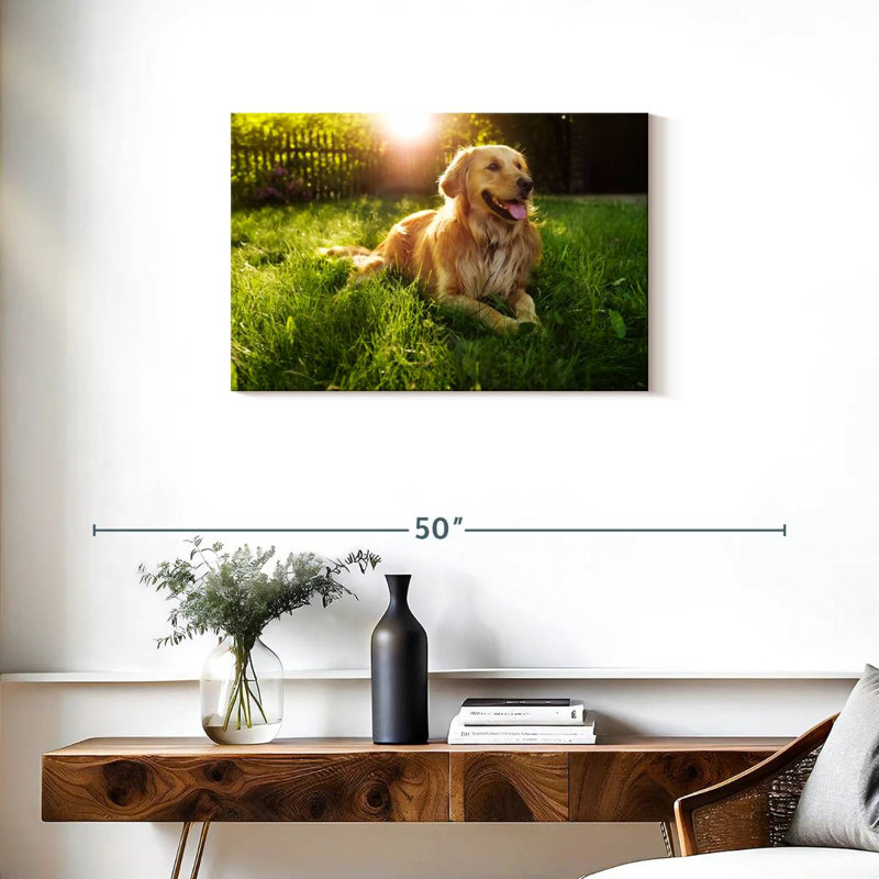 Golden retriever Brampt ensoleillé, H 20 po x l 30 po