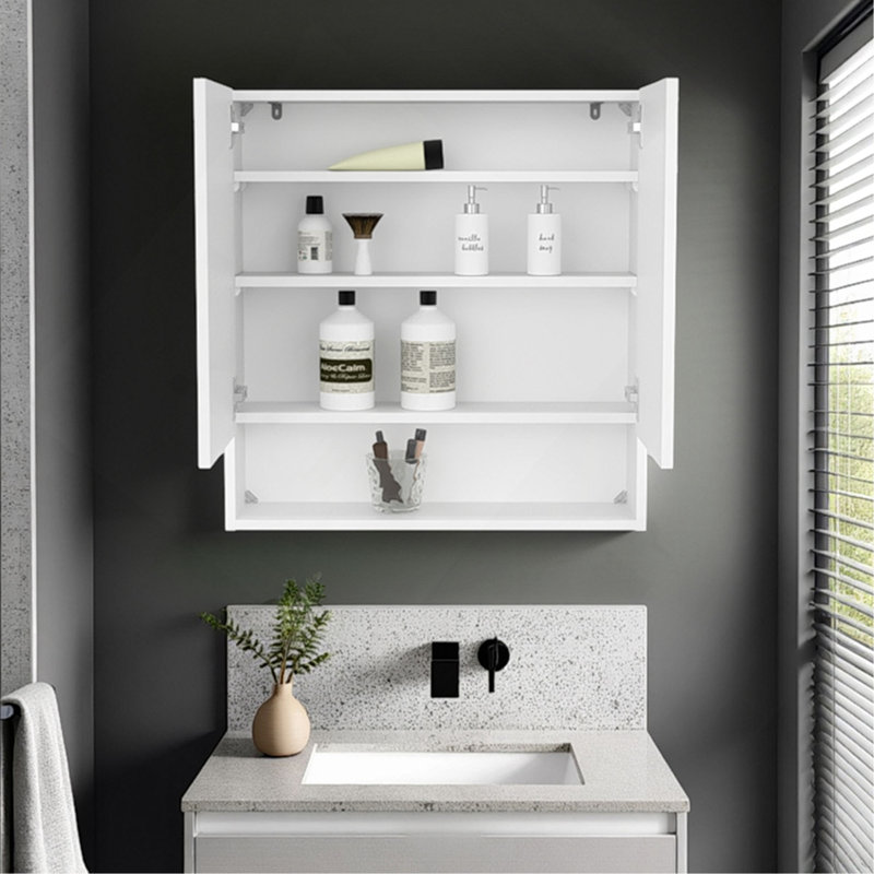 Armoire à pharmacie à double porte Hickory, idéale pour le rangement dans la salle de bain