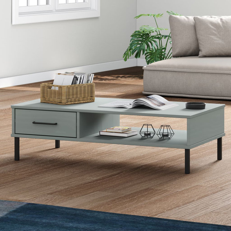 Table basse simple avec rangement Mikylee, Gris