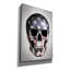 «American Skull-Gray» par Nicklas Gustafsson, art mural sur toile, 18 po x 26 po