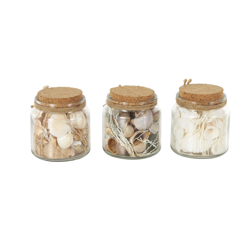 Highland Dunes Glass Orbs & Vase Filler With Various Cream And Brown Seashells And Jute Rope Accents